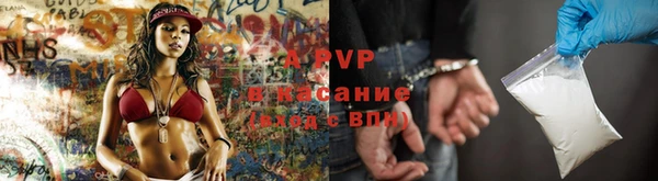 ECSTASY Ветлуга
