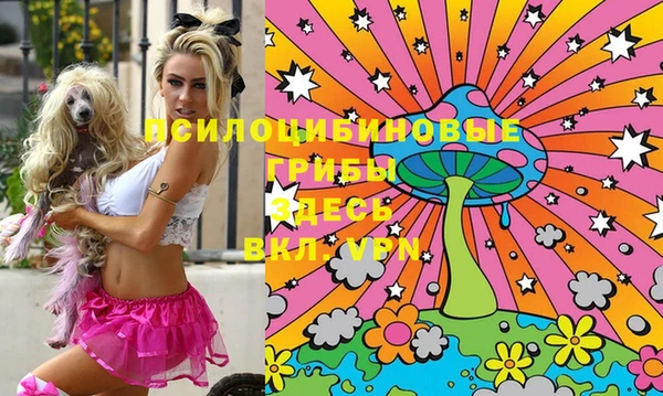 не бодяженный Новокубанск