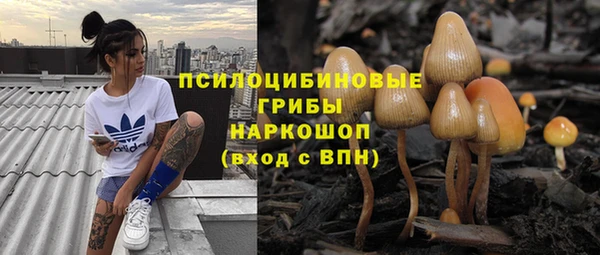 круглые Новозыбков