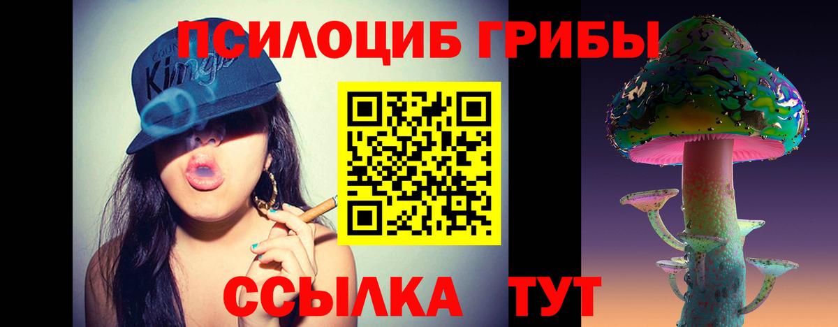 Галлюциногенные грибы Psilocybine cubensis  Вход с VPN  Торжок  Псилоцибиновые грибы мицелий 