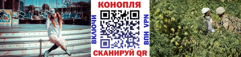 Бошки марихуана семена  магазин продажи   даркнет клад  Торжок 